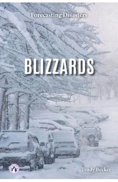 Blizzards