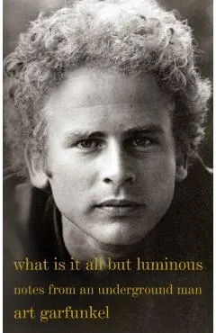 What Is It All but Luminous