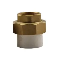 Racord Olandez PPR, Filet Interior, 25 mm x 3/4 inch, Z-tools
