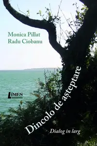 Dincolo de așteptare - Paperback brosat - Monica Pillat, Radu Ciobanu
