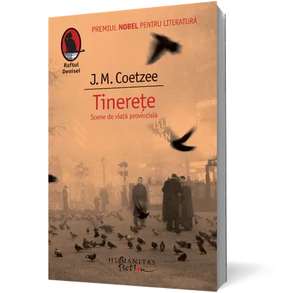 Tinereţe. Scene de viaţă provincială