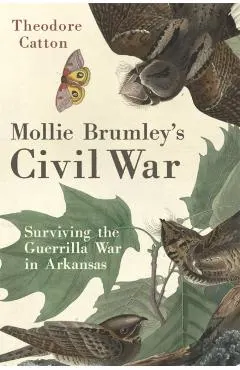 Mollie Brumley's Civil War: Surviving the Guerrilla War in Arkansas