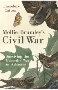 Mollie Brumley's Civil War: Surviving the Guerrilla War in Arkansas