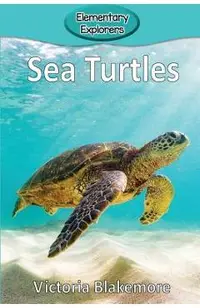 Sea Turtles