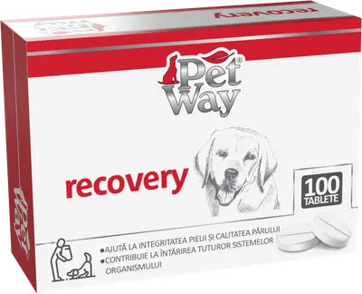 Petway Recovery - 100 Tablete