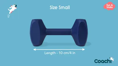 Coa Jucarie Dresaj Coachi Dumbell Small 41410A