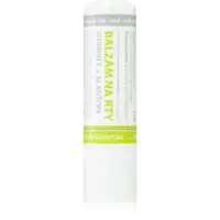 MedPharma Lip balm with vitamin E and allantoin balsam de buze cu vitamina E