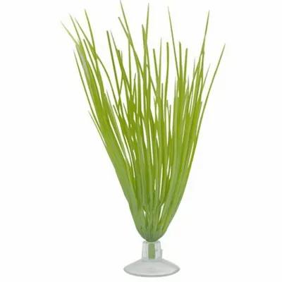 Marina Planta Betta Kit Hairgrass 12080