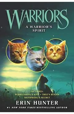 A Warrior's Spirit