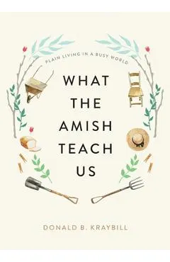 What the Amish Teach Us: Plain Living in a Busy World