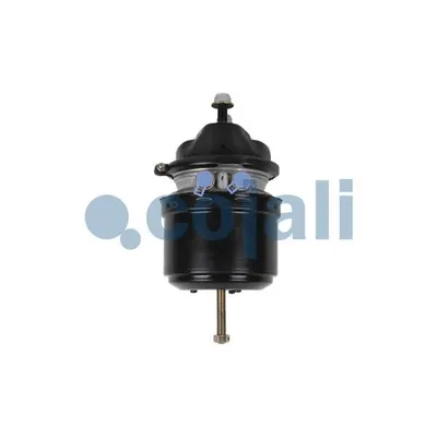 Cojali 2251536