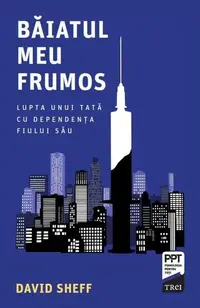 Băiatul meu frumos - Paperback brosat