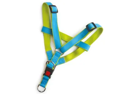 Ham ajustabil pentru caini, negru, cu catarama, dimensiuni 30-50 cm x 2 cm