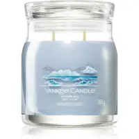 Yankee Candle Ocean Air lumânare parfumată Signature 368 g