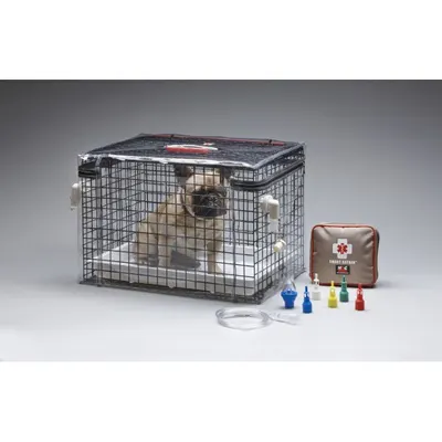 Cusca Oxigen Smart Animale