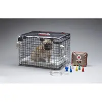 Cusca Oxigen Smart Animale