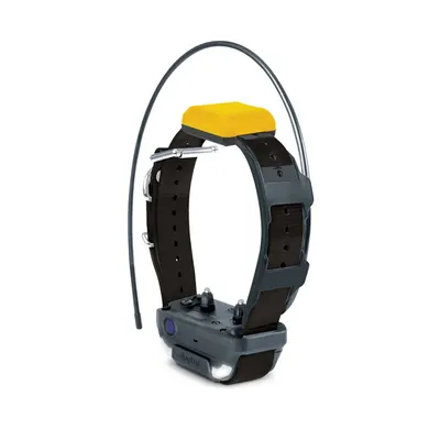 Extra Zgarda Pentru DOGTRA PATHFINDER 2 - Negru