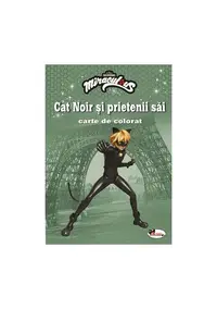 Cat Noir și prietenii săi. Carte de colorat - Paperback - ***