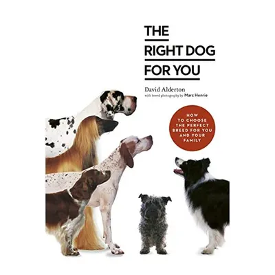 Your Dog Selector