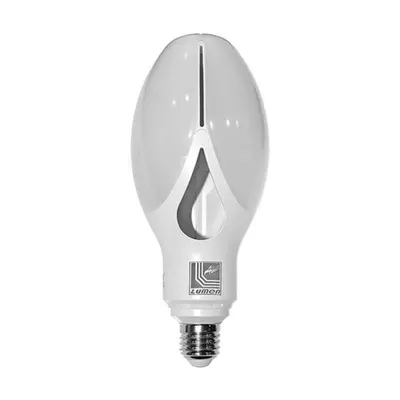Bec cu LED tip MAGNOLIE E27 E27 E27 E27 60W (≈660w) lumina rece 6600lm L 255mm