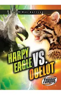 Harpy Eagle vs. Ocelot