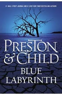 Blue Labyrinth