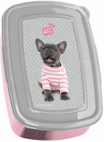 Cutie pentru mâncare Paso - Studio pets, 750 ml