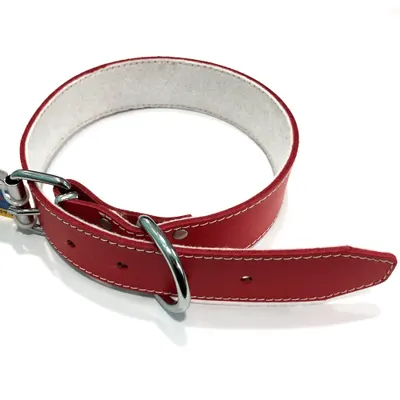 Zgarda din piele, rosie, rezistenta, 40 mm x 700 mm