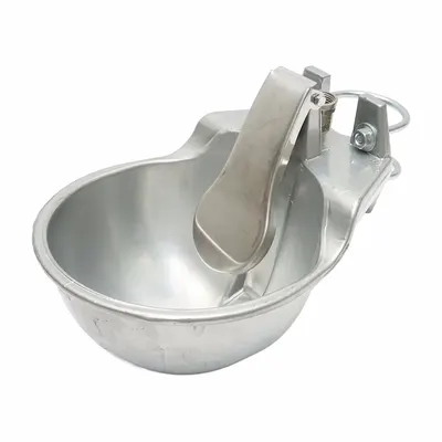Adapatoare standard