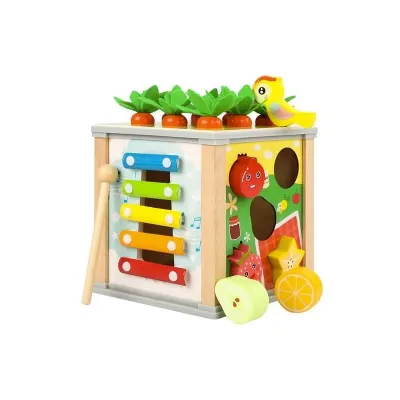 Cub educativ 5 in 1 cu activitati de sortare, xilofon, joc de pescuit, 16 x 15.5 x 15.5 cm, lemn