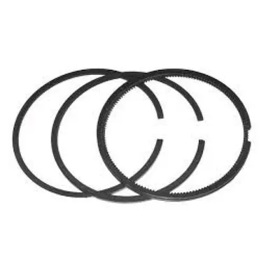 Segmenti Tecumseh 63.5mm x 2.35 x 2.35 x 3.9 mm Cod: 33312B