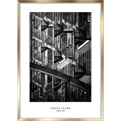 Ramă foto de perete Styler Floryda, 53 x 73 cm, auriu