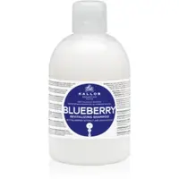 Kallos KJMN Professional Blueberry șampon regenerator pentru par uscat, deteriorat si tratat chimic