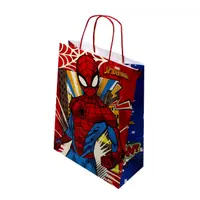 Punga cadou copii SDE XL Spiderman