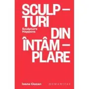 Sculpturi din intamplare. Sculpture Happens