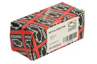 Portinjector Potrivit Renault Clio Iii, Fluence, Grand Scenic Ii, Grand Scenic Iii, Laguna Ii, Laguna Iii, Megane, Megane Ii, Megane Iii, Modus, Scenic Ii, Scenic Iii 1.4 1.6 11.02-