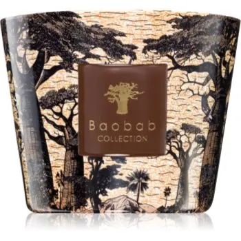 Baobab Collection Sacred Trees Mankono lumânare parfumată