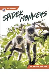Spider Monkeys