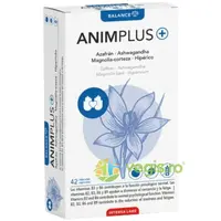 Animplus 42cps