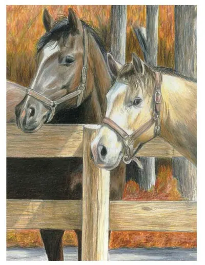 Set de desen cu creioane colorate Royal - Cai, 22 x 30 cm