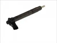 Injector Common Rail Opel Vivaro A; Renault Espace Iv, Grand Scenic Ii, Koleos I, Laguna, Laguna Ii, Laguna Iii, Latitude, Megane Ii, Scenic Ii, Trafic Ii, Vel Satis 2.0d Dupa 2005