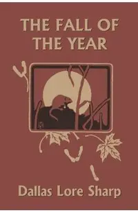 The Fall of the Year