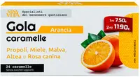 Sanavita Gola Caramelle Pastile de gât din plante, portocală, 24 buc, Paladin Pharma