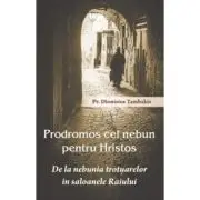 Prodromos cel nebun pentru Hristos. De la nebunia trotuarelor in saloanele Raiului