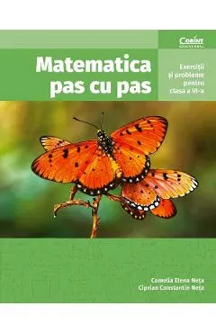Matematica pas cu pas - Clasa 6 - Exercitii si probleme