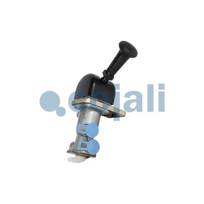 Cojali 2224404