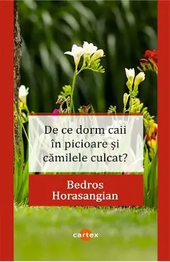 De ce dorm caii in picioare si camilele culcat?