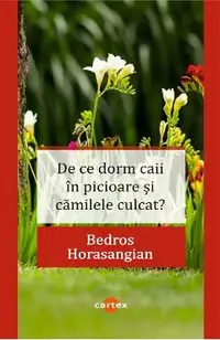 De ce dorm caii in picioare si camilele culcat?