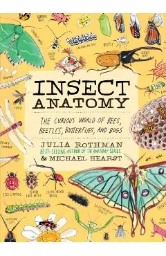 Insect Anatomy: The Curious World of Bees, Beetles, Butterflies, and Bugs
