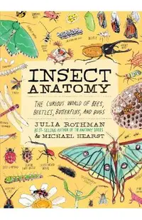 Insect Anatomy: The Curious World of Bees, Beetles, Butterflies, and Bugs